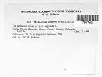Image Associated With the Occurence